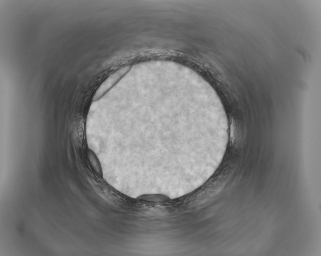 X0000110971492200907310918