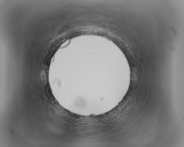 X0000110971493200907310918