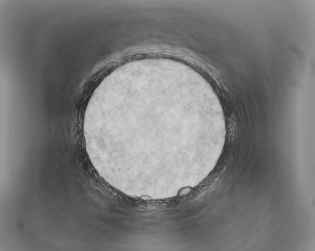 X0000110971494200907310918