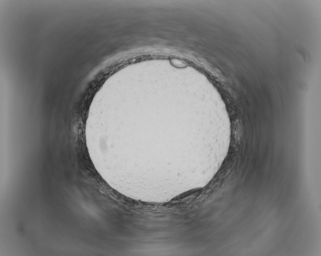 X0000110971495200907310918