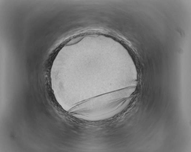 X0000110971496200907310918