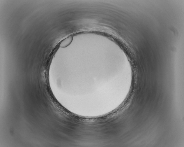 X0000110971497200907310918