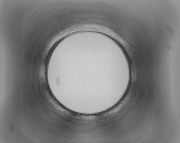 X0000110971498200907310918