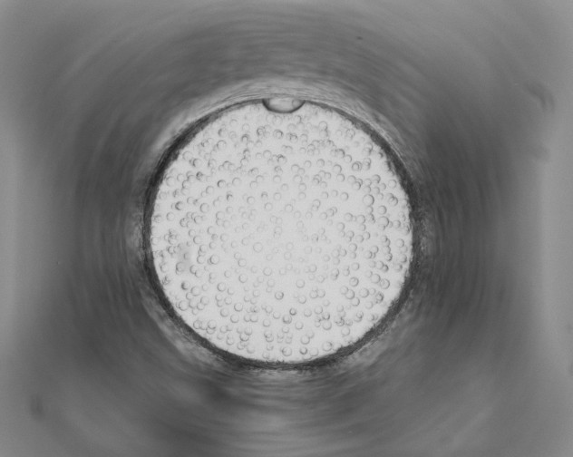 X0000110971499200907310918