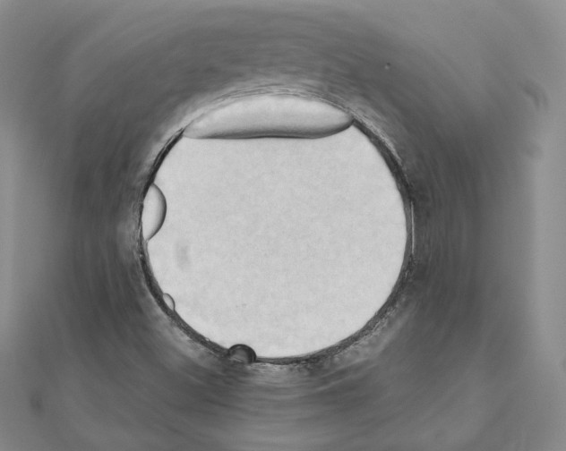 X0000110971500200907310918