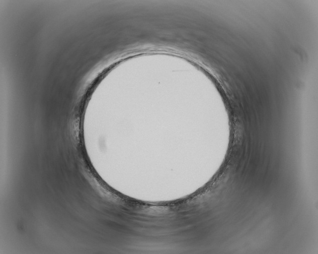 X0000110971503200907310918