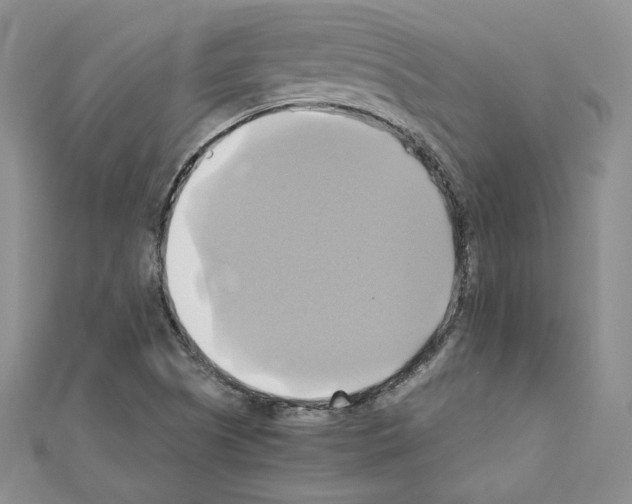 X0000110971505200907310918