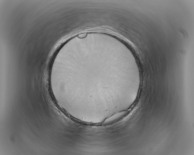 X0000110971506200907310918