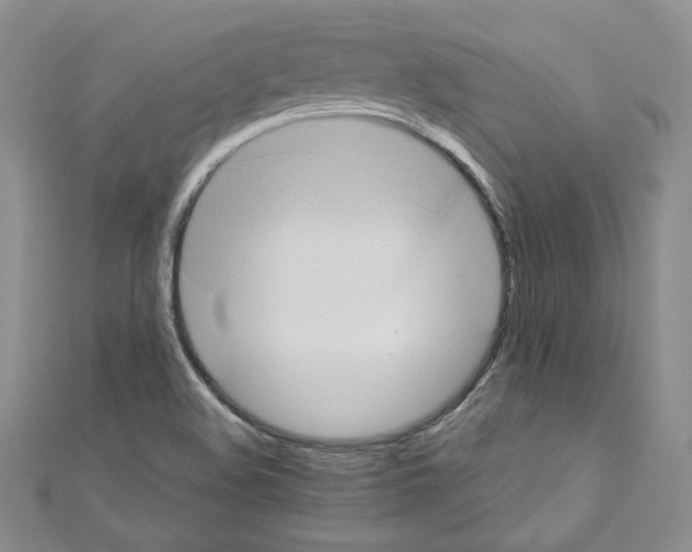 X0000110971508200907310918