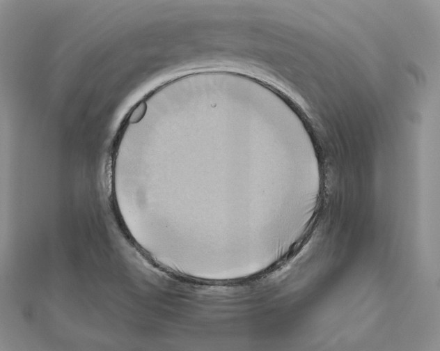 X0000110971510200907310918