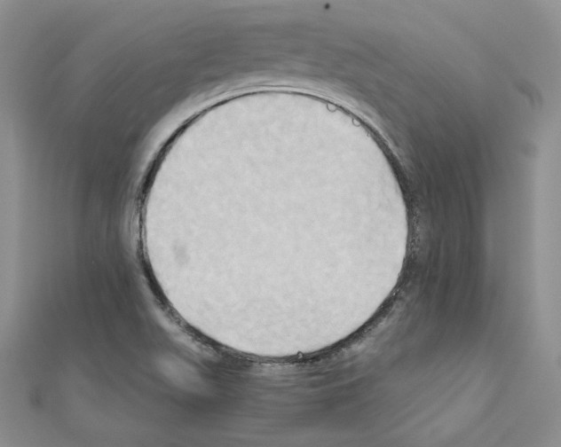 X0000110971511200907310918