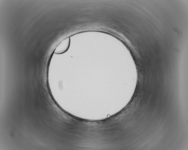 X0000110971512200907310918