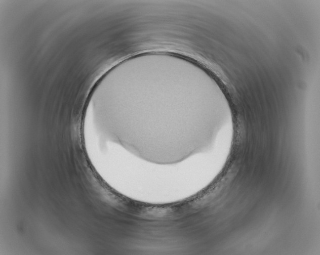 X0000110971513200907310918