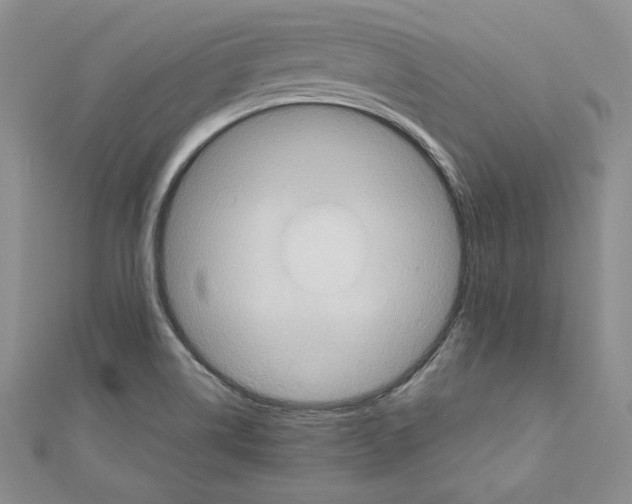 X0000110971514200907310918