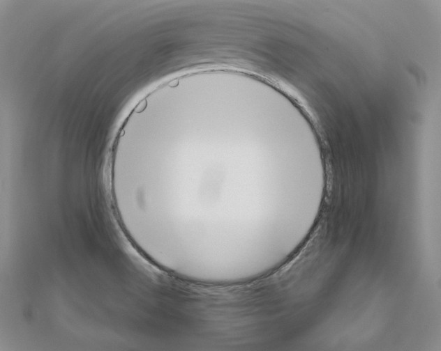 X0000110971516200907310918