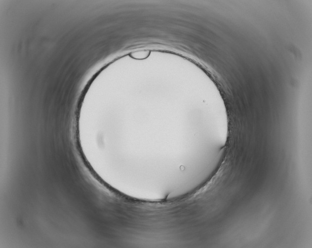 X0000110971518200907310918