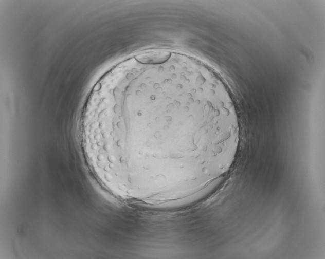X0000110971519200907310919