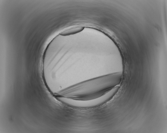 X0000110971520200907310919