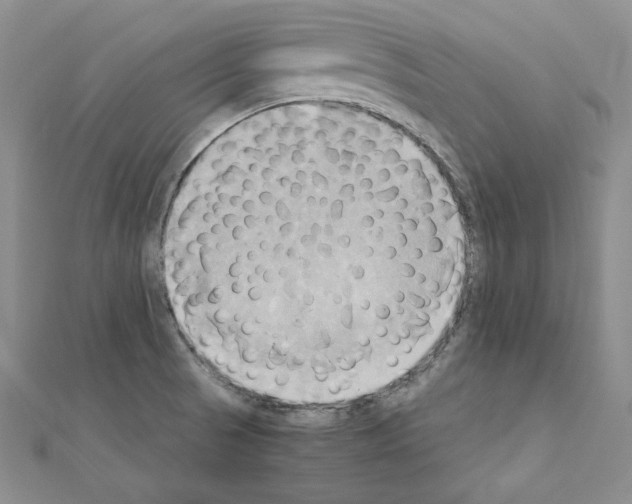 X0000110971521200907310919