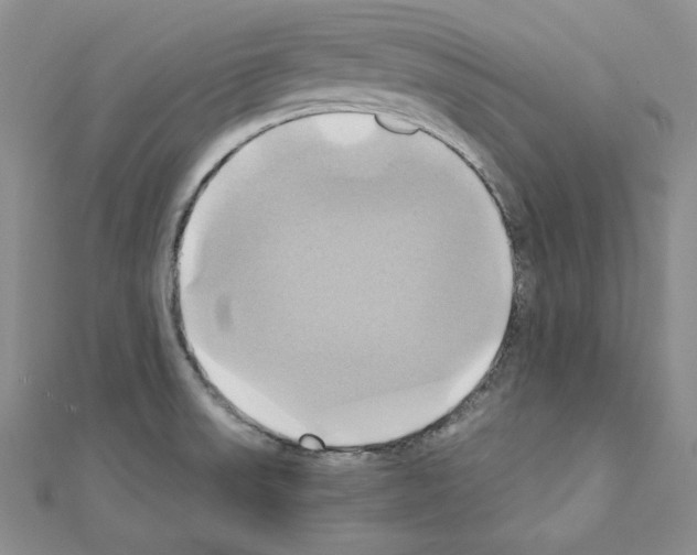 X0000110971523200907310919