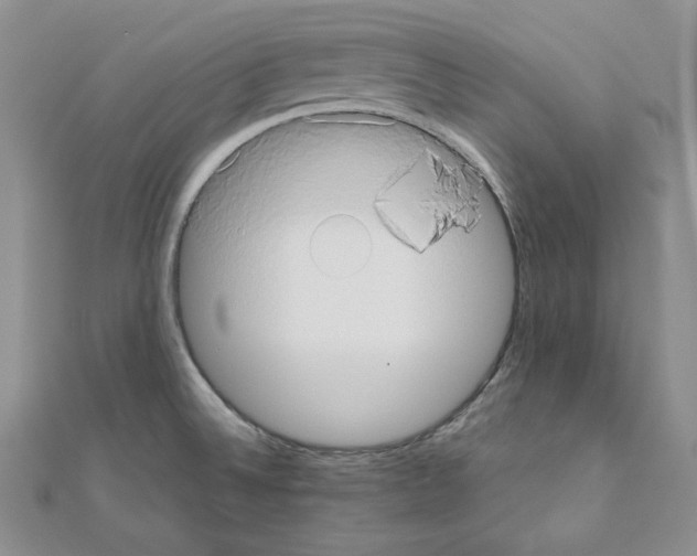 X0000110971524200907310919