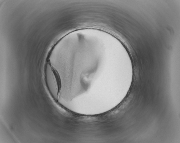 X0000110971525200907310919