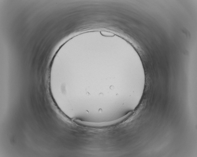 X0000110971526200907310919