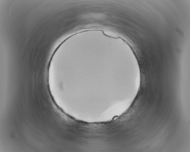 X0000110971527200907310919