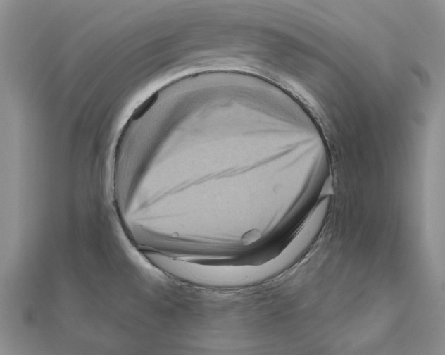 X0000110971528200907310919