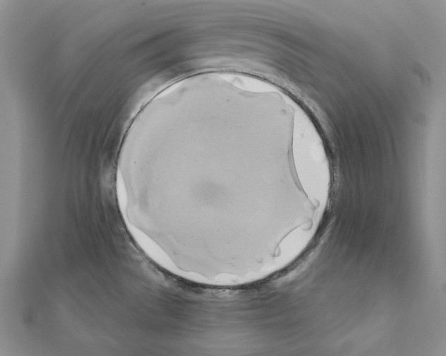 X0000110971529200907310919