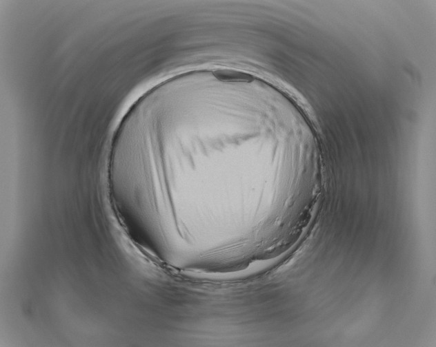 X0000110971530200907310919