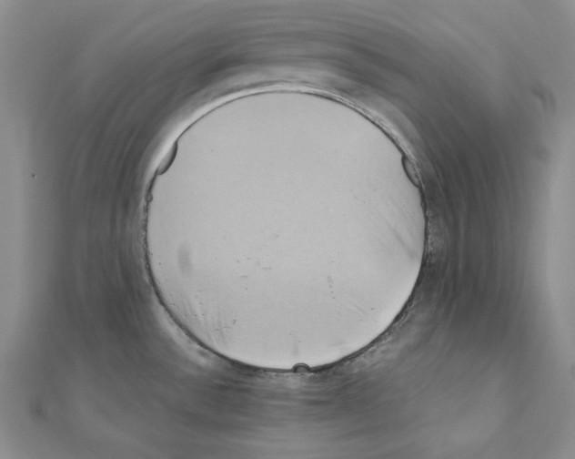 X0000110971532200907310919