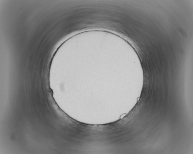 X0000110971534200907310919