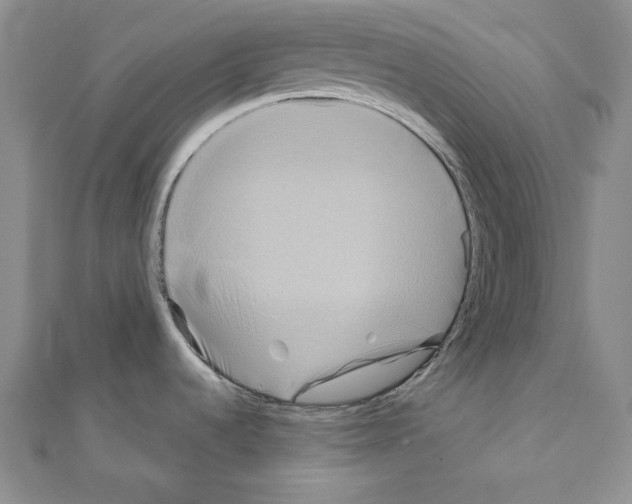 X0000110971536200907310919