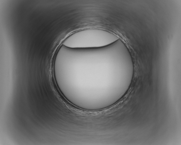 X0000110980002200906191059