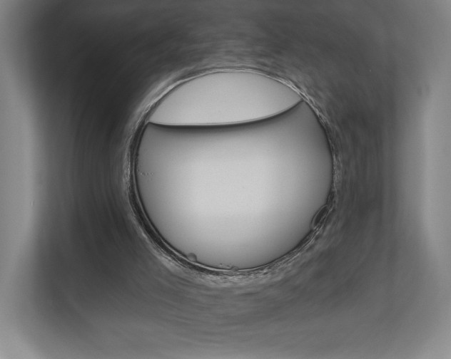 X0000110980005200906191059