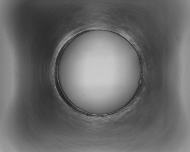 X0000110980007200906191059