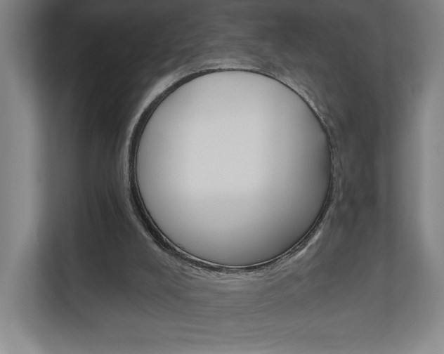 X0000110980008200906191059