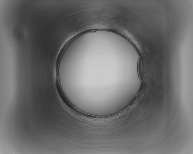 X0000110980011200906191059