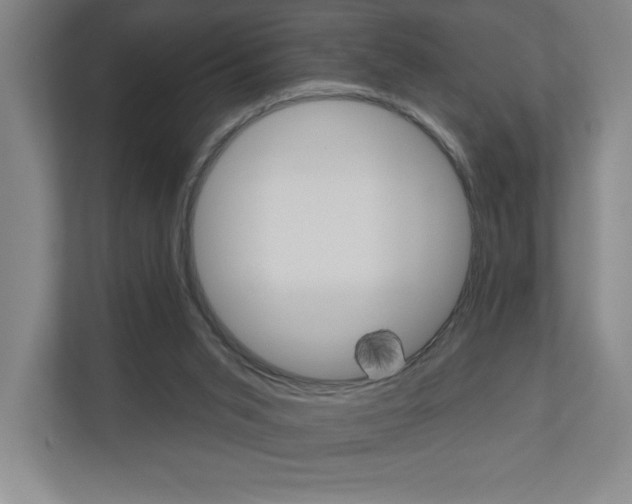 X0000110980015200906191059