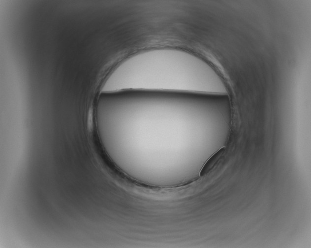 X0000110980019200906191059