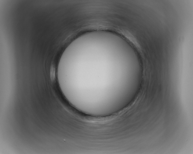 X0000110980021200906191059