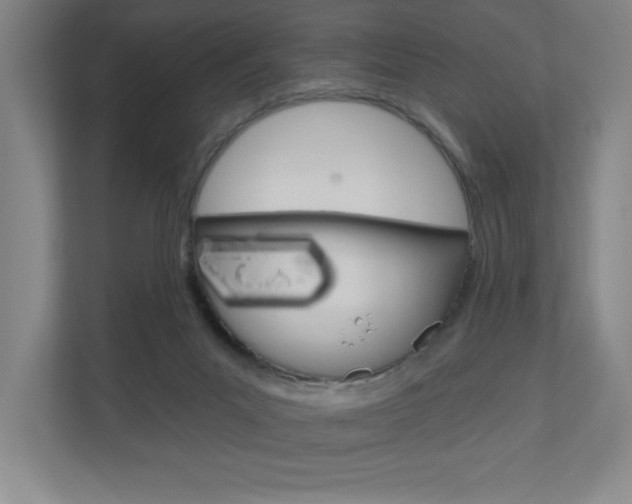 X0000110980023200906191059