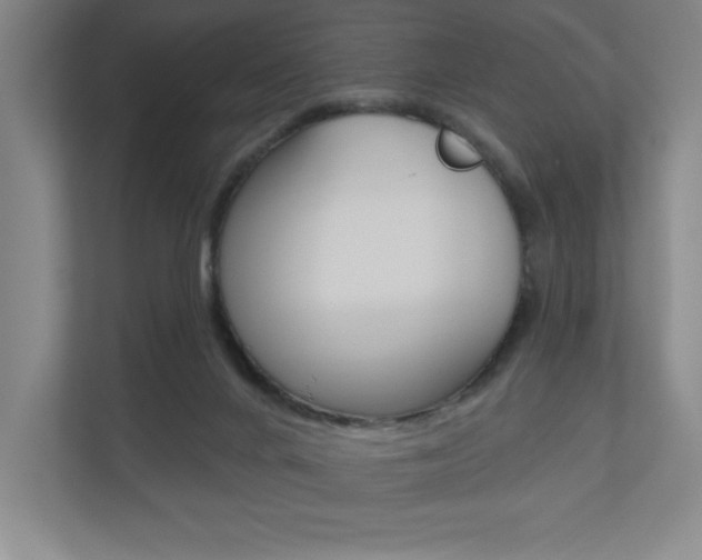 X0000110980024200906191059