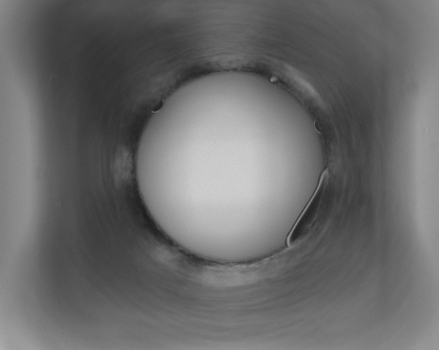 X0000110980025200906191059