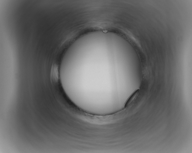 X0000110980027200906191059