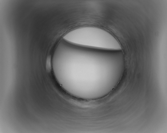 X0000110980028200906191059