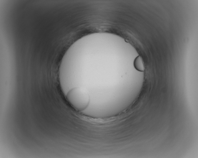 X0000110980030200906191059