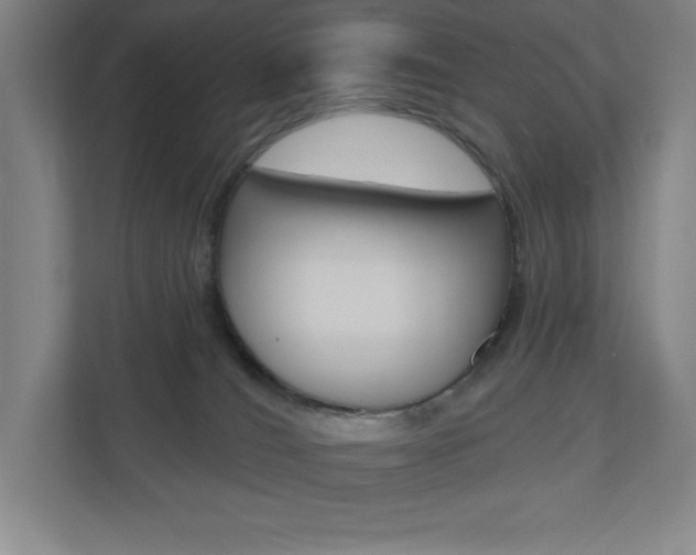 X0000110980036200906191059