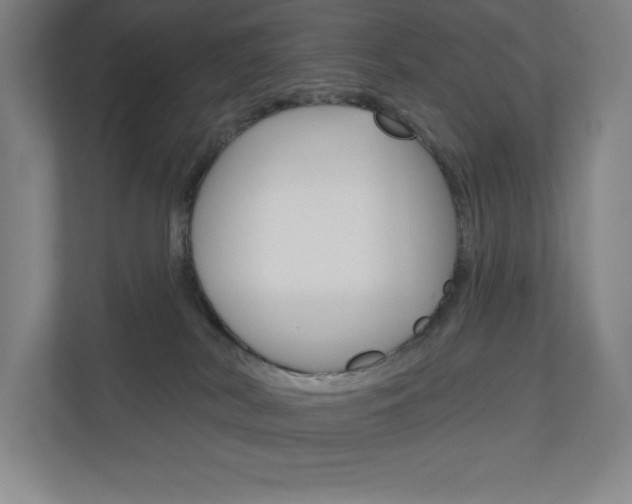 X0000110980038200906191059